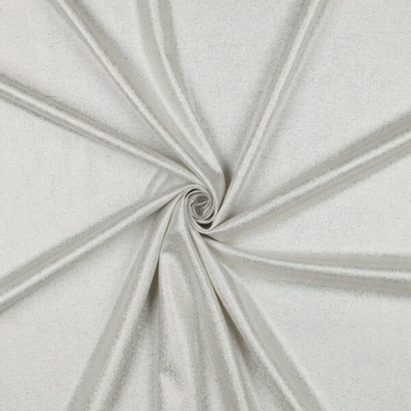 VISKOS/LIN HOLOGRAM-GLAM NATURVIT/SILVER FG 1