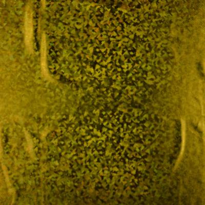 SCENEN ÄR DIN HOLOGRAM GULD FG 0100