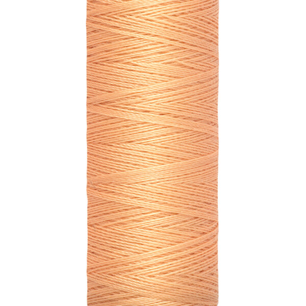 GUTERMAN SYTRÅD 200 M FG 0979