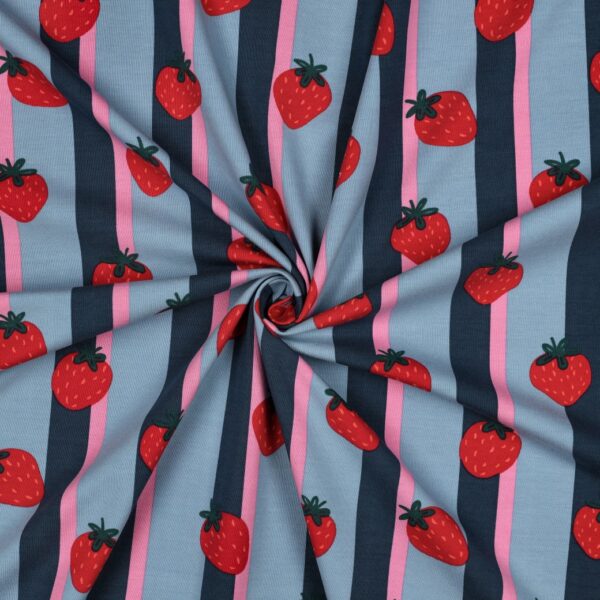 Bomullstrikå Jordgubbsrand blå/röd fg 5